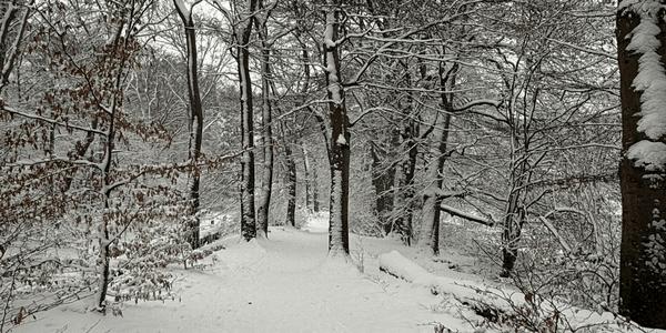 winterenergie